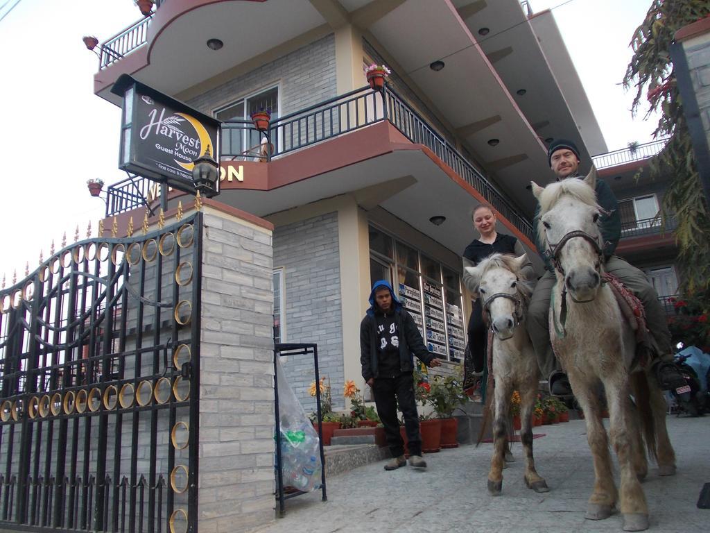 Harvest Moon Guest House Pokhara Exterior photo