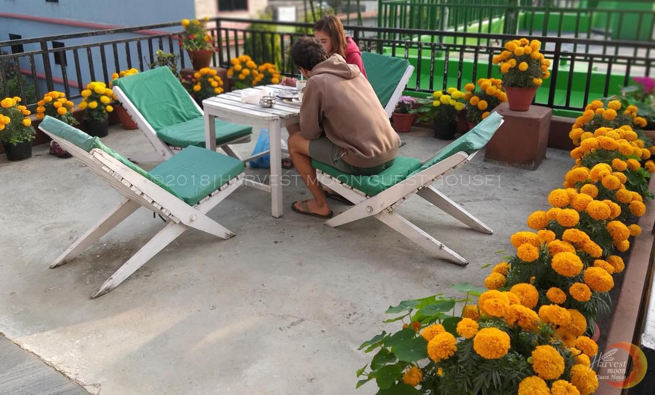 Harvest Moon Guest House Pokhara Exterior photo